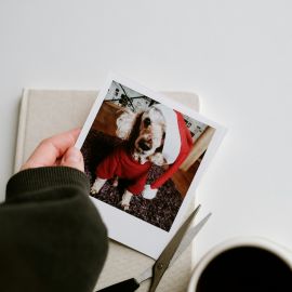 Polaroīdu kartītes